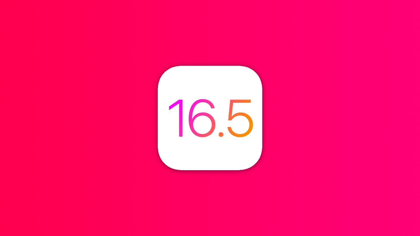 ios 16 5 header rose ios 16 5 header rose
